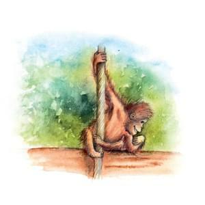 061 - Neposedná opička